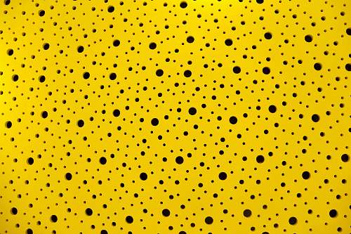 polka dot yellow and black polka dot textile yellow